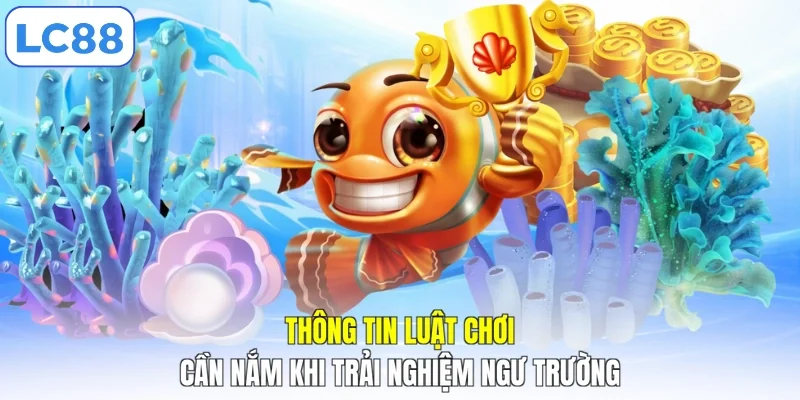 Thông tin luật chơi cần nắm khi trải nghiệm ngư trường